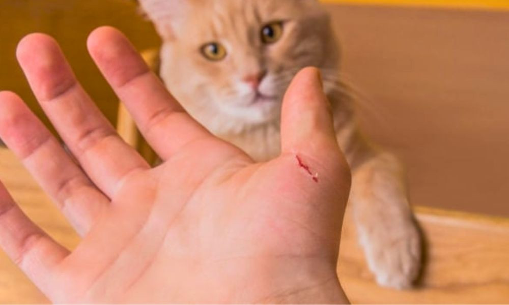 Image for ??????? ????? ????? ??????? ?? ???? ?? ??? ?????